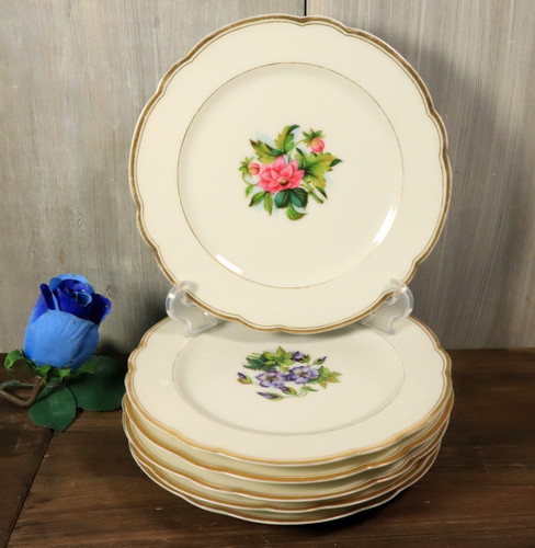 Lot assiettes en - 6,