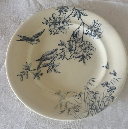 Assiette plate ancienne decor - ancienne,